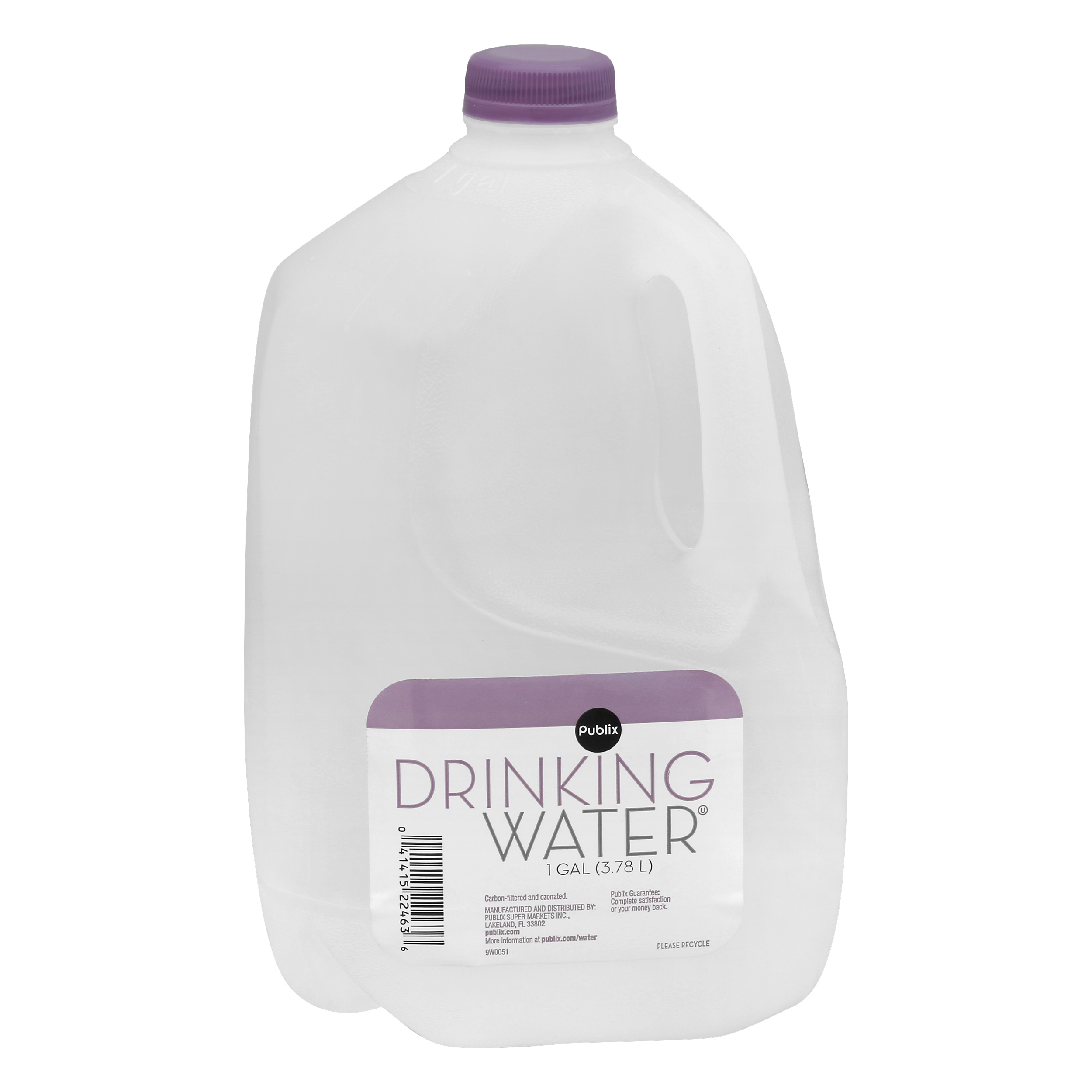Publix Drinking Water 1 gl JUG