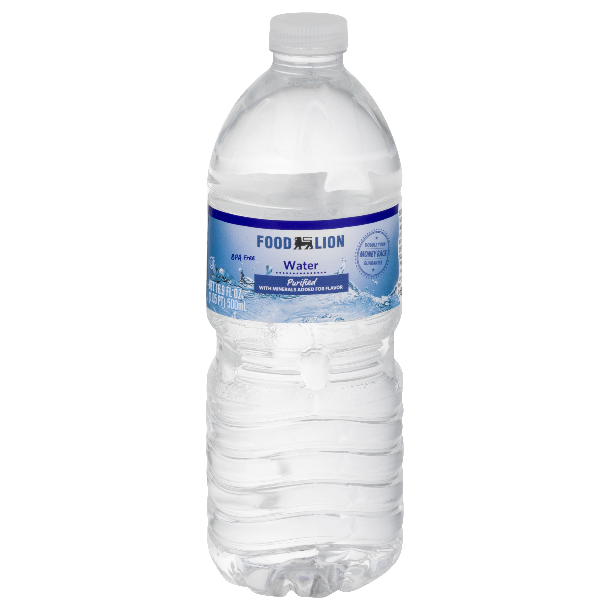 Lion Country Water Bottle