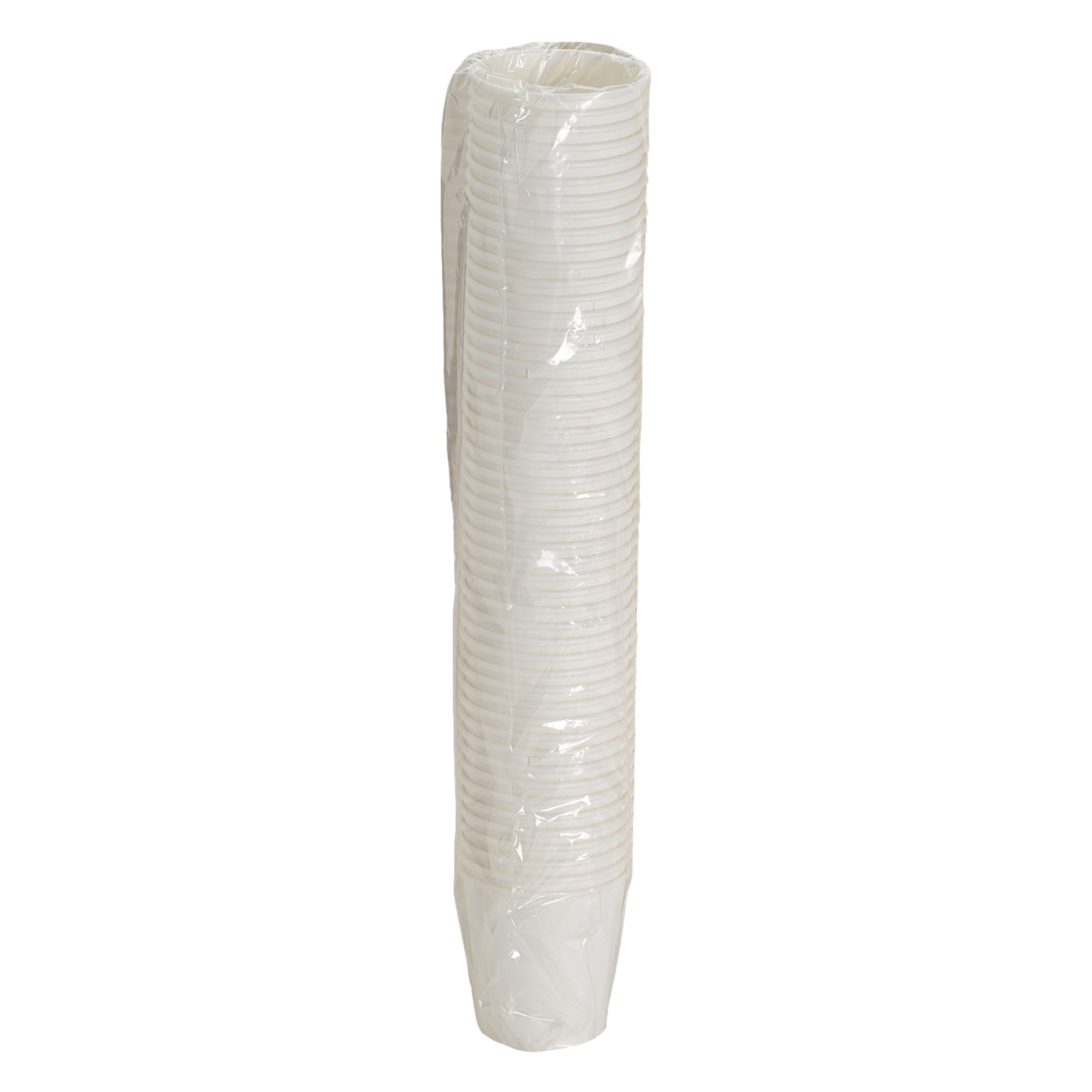 10 OZ INSULATED HOT PAPER CUP