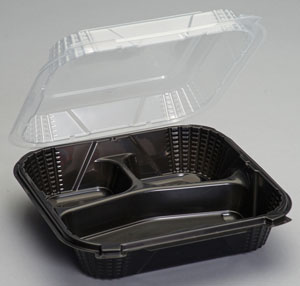LARGE 3-COMP CONTAINER pv203V