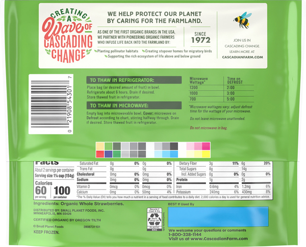 Back of Pack