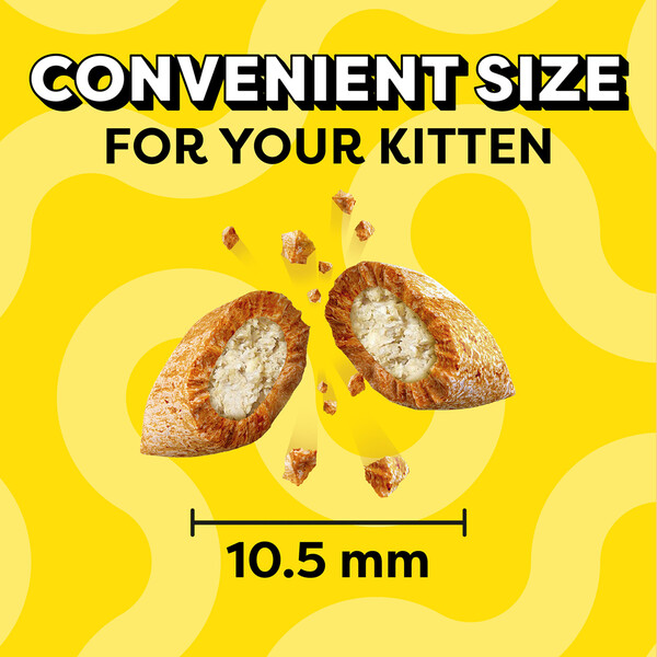 ContentPlus Image 2