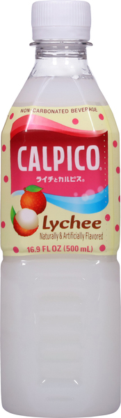 Back of Pack