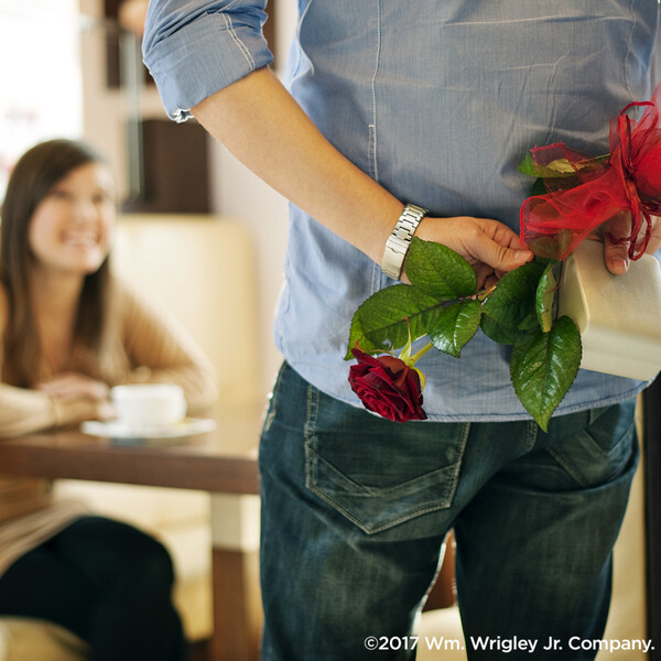 ContentPlus Image 4