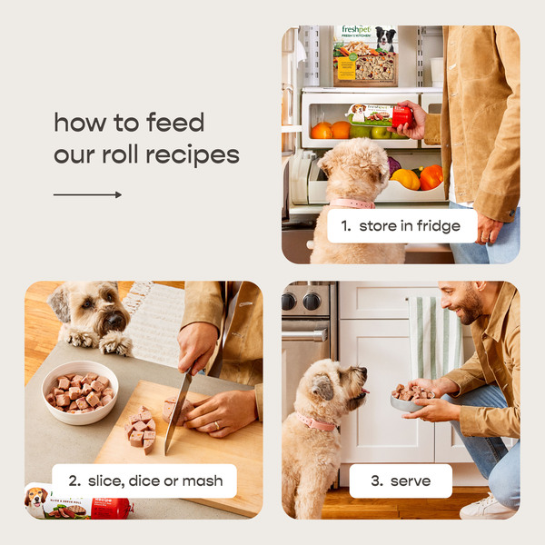 ContentPlus Image 5