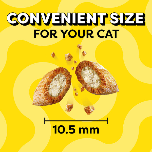 ContentPlus Image 2