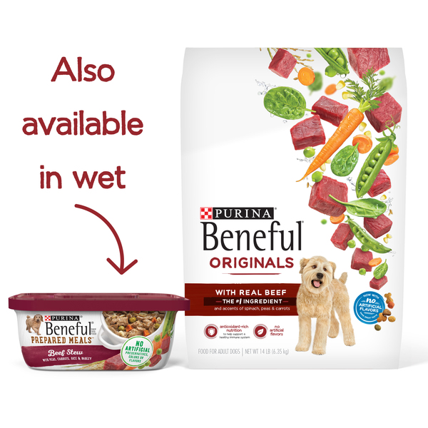 Beneful originals with real beef top
