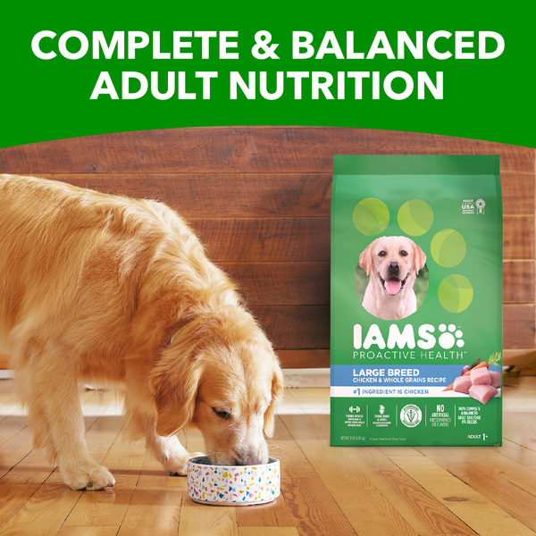 IAMS Proactive Health Large Breed Chicken Adult Dry Dog Food 30 lb bag Stop Shop