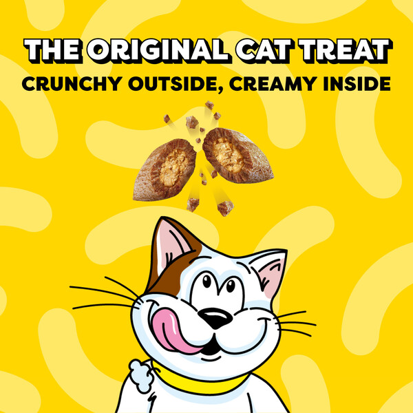 ContentPlus Image 2