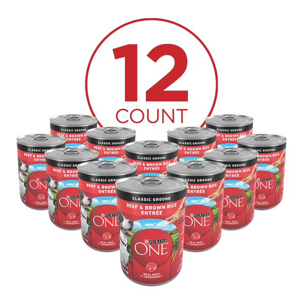 ContentPlus Image 2