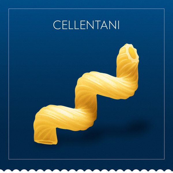 ContentPlus Image 4