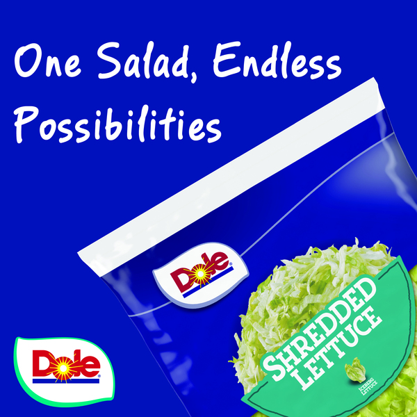 ContentPlus Image 3