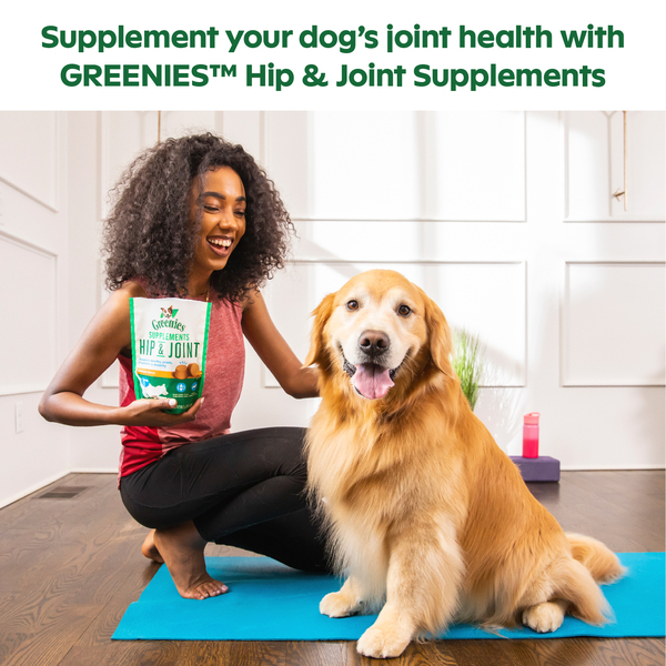 Greenies Hip Joint Supplements for Adult Dogs Chicken Flavor