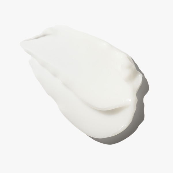 ContentPlus Image 6