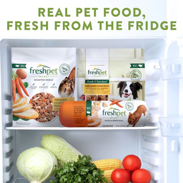 Fresh refrigerated dog sales food