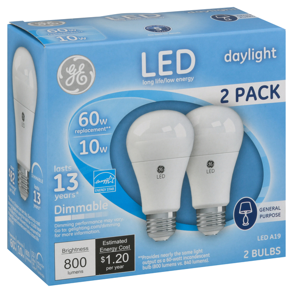 60 watt incandescent store bulb lumens