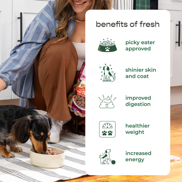 ContentPlus Image 4