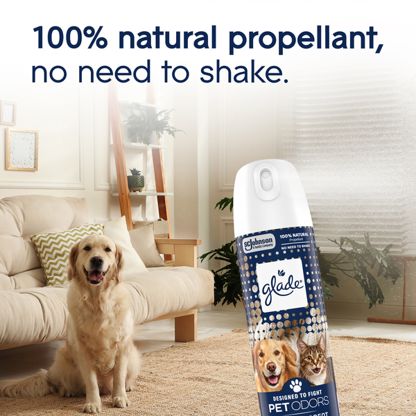ContentPlus Image 4
