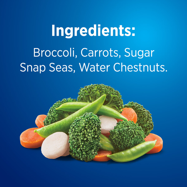 ContentPlus Image 4