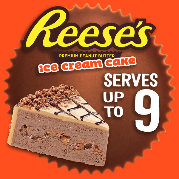 Reese s Premium Peanut Butter Ice Cream Cake Frozen 46 oz box GIANT