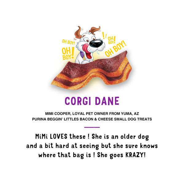 Purina Beggin Strips Fun Size Bacon Cheese Flavor Dog Treats 6 oz bag MARTIN S