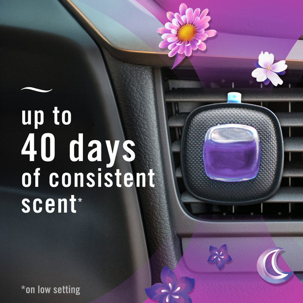 ContentPlus Image 4