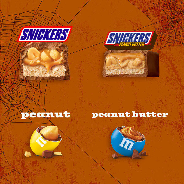 ContentPlus Image 2