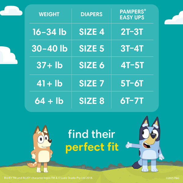 ContentPlus Image 4