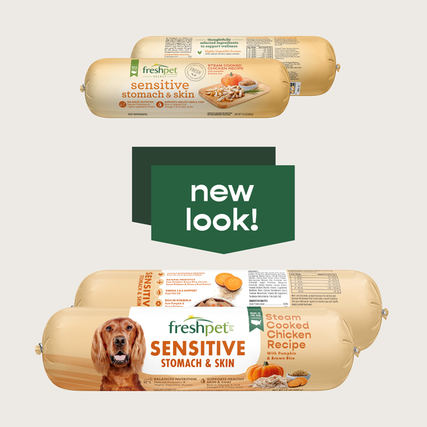 Sensitive dog food on sale