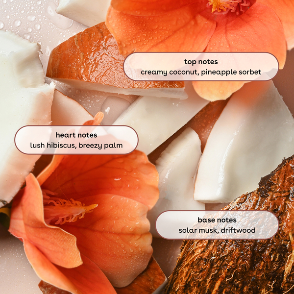 ContentPlus Image 2
