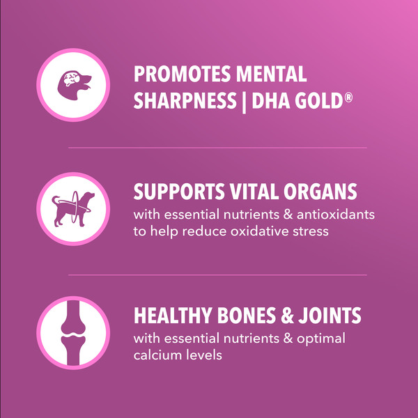 ContentPlus Image 4