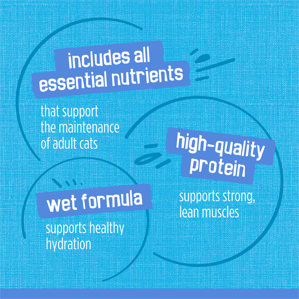 ContentPlus Image 7