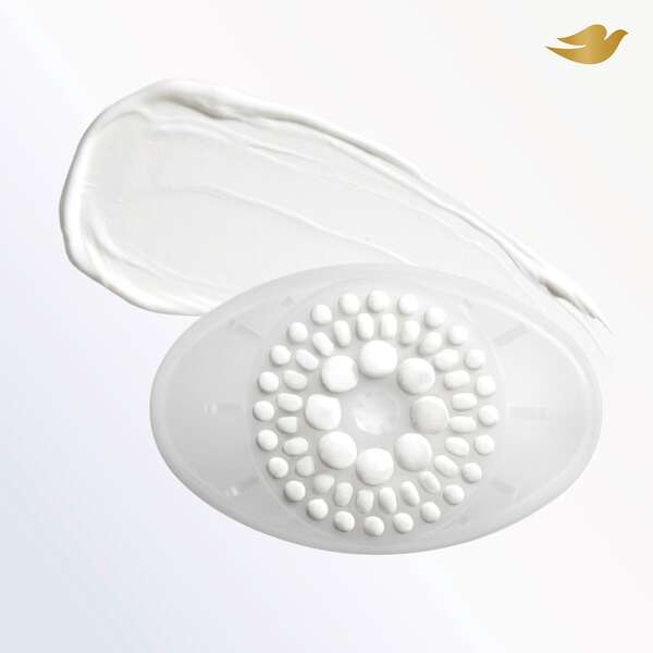 ContentPlus Image 4