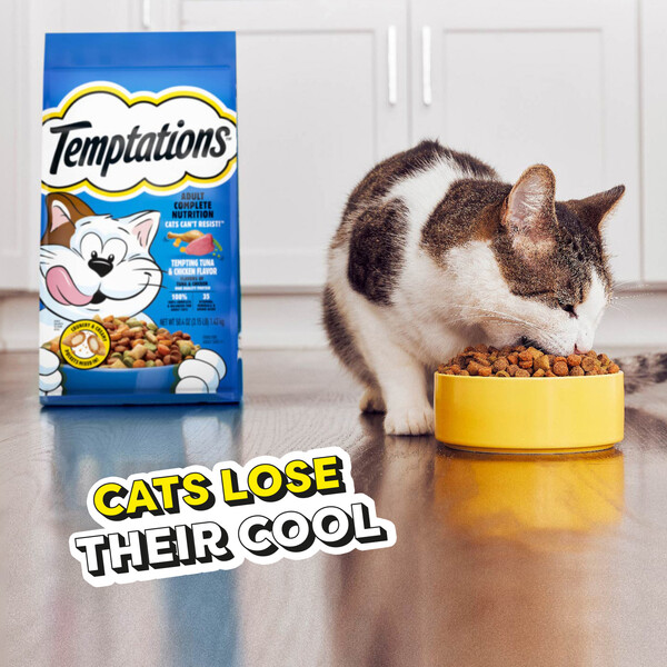 Temptations Complete Nutrition Tempting Tuna Chicken Adult Dry Cat Food 3.15 lb bag GIANT