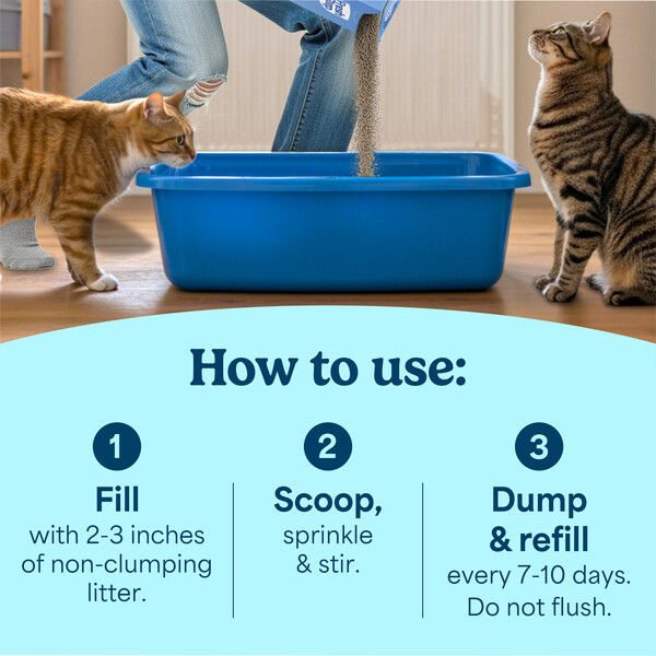 ContentPlus Image 3