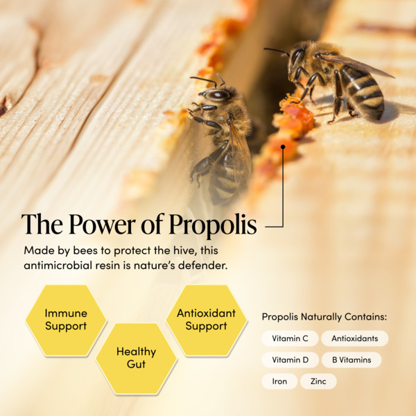 ContentPlus Image 2