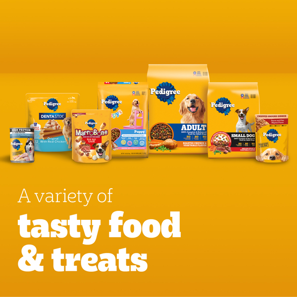 ContentPlus Image 6