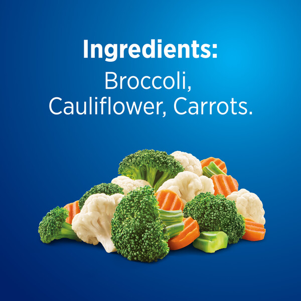 ContentPlus Image 4