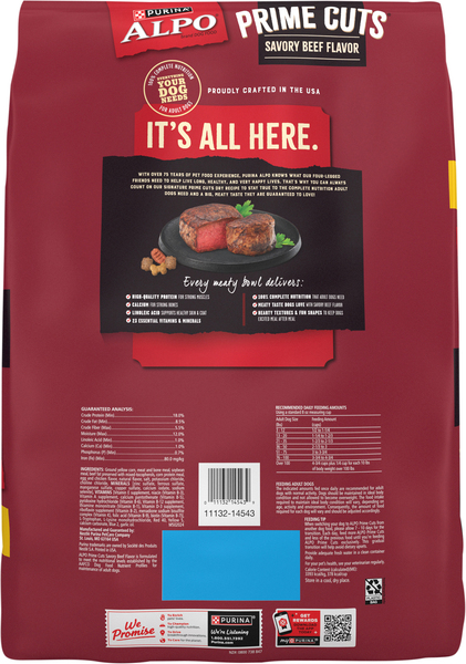 Back of Pack