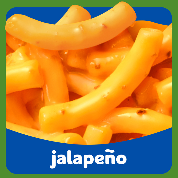 ContentPlus Image 2