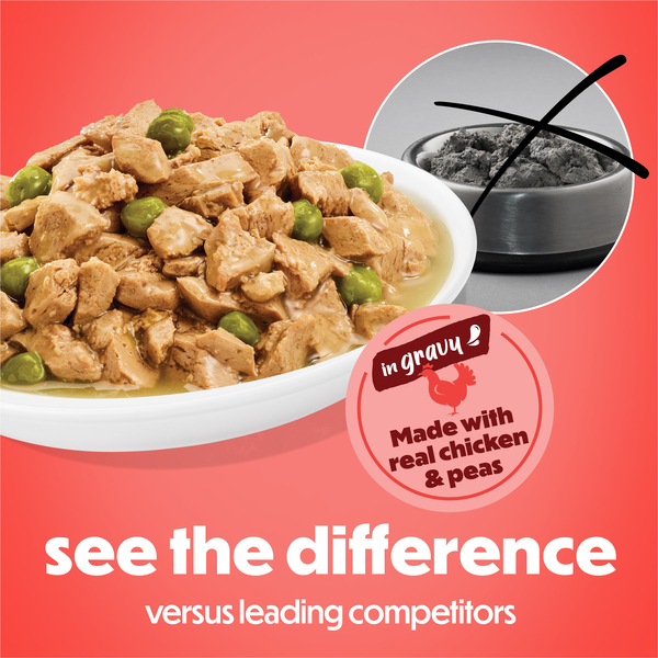 ContentPlus Image 3