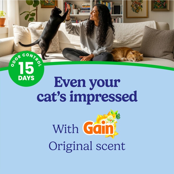 ContentPlus Image 1