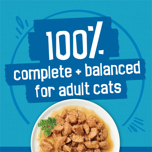 ContentPlus Image 4