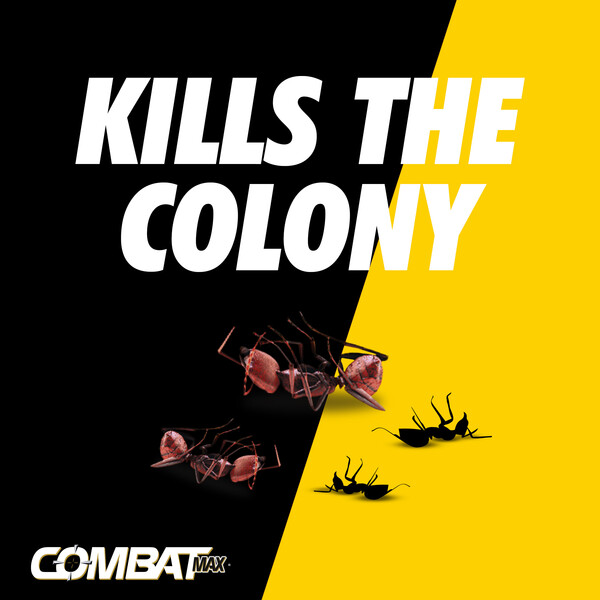 ContentPlus Image 3