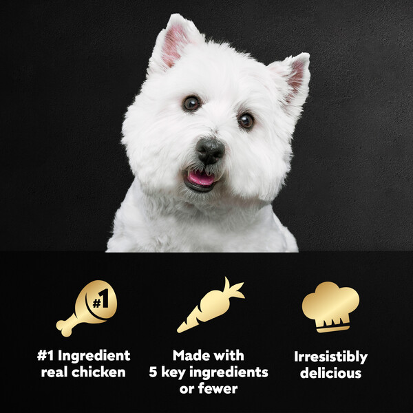ContentPlus Image 3