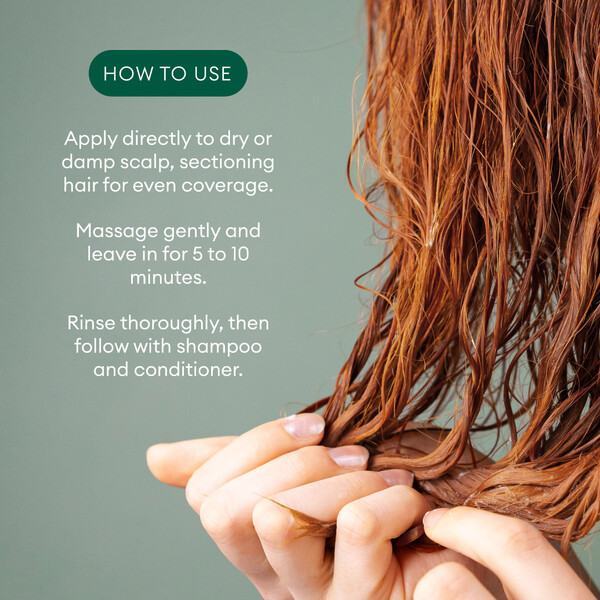 ContentPlus Image 4