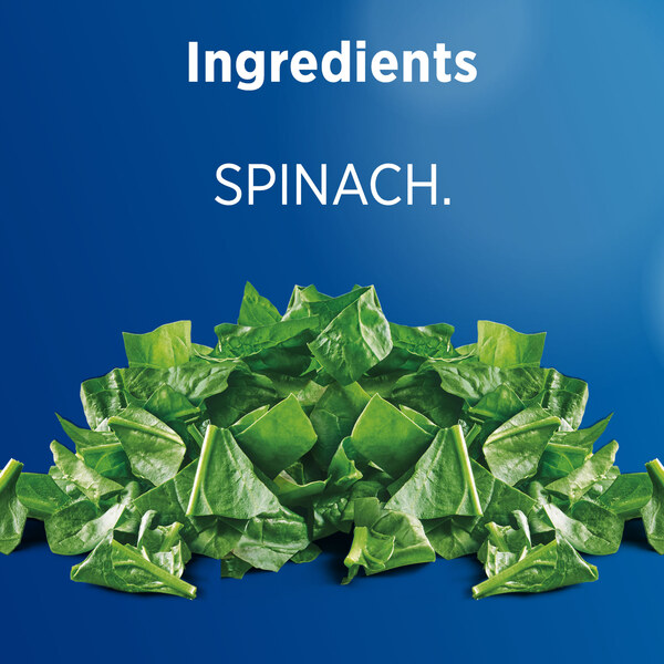 ContentPlus Image 4