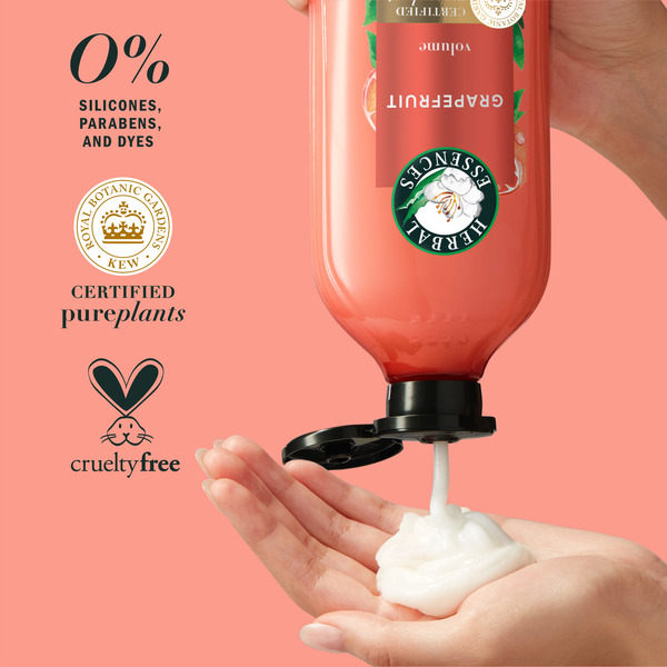 ContentPlus Image 4