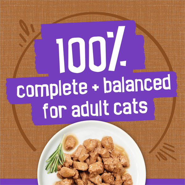 ContentPlus Image 4