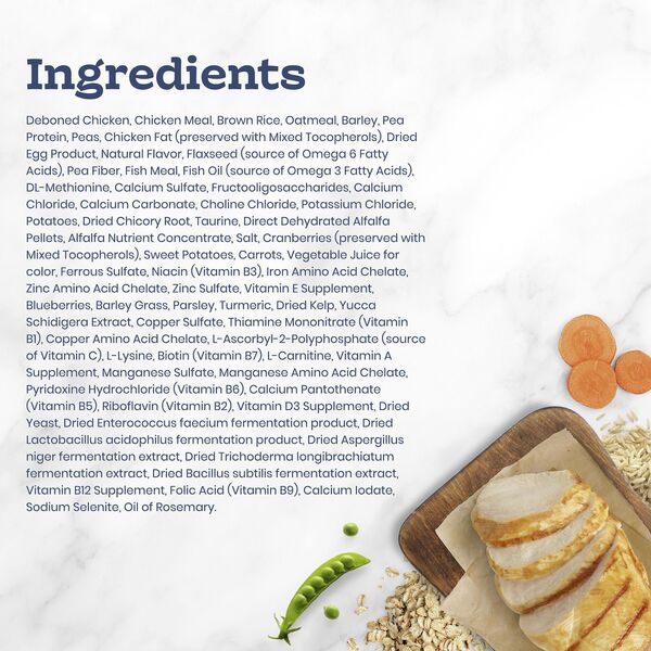 ContentPlus Image 6